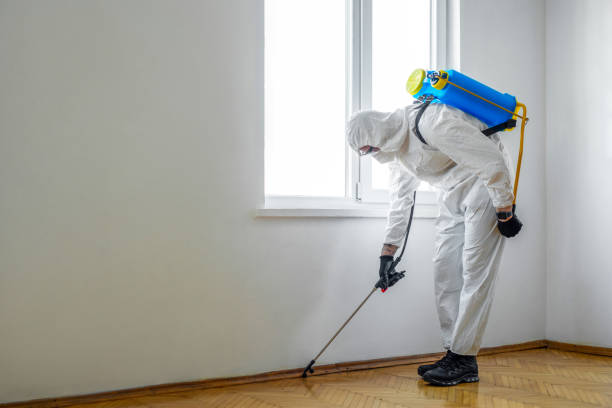 Reliable Montello, WI Pest Control Solutions