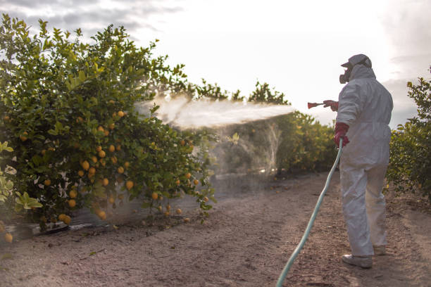 Best Affordable Pest Control Services  in Montello, WI