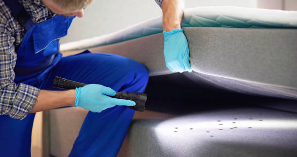 Flea Control Services in Montello, WI