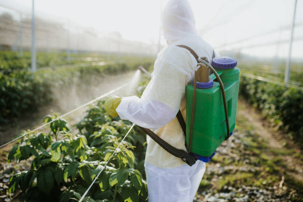 Best Commercial Pest Control Services  in Montello, WI